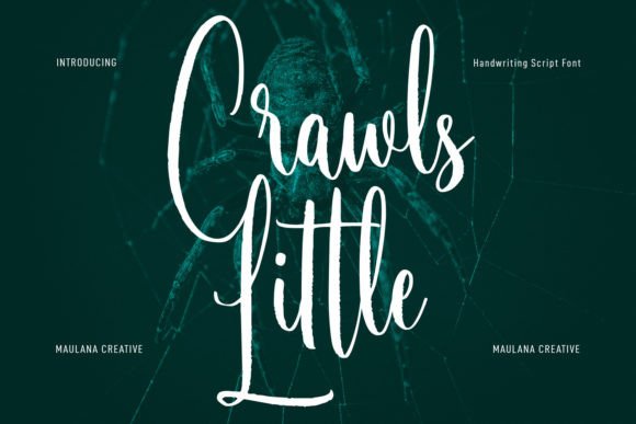 Little Crawls: The Perfect Handwritten Font for Crafters
