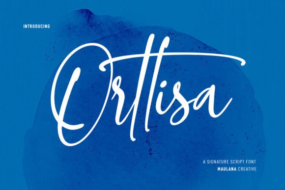 Orttisa: A Designer's Honest Review for Branding