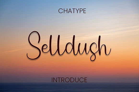 Selldush Review: A Script Amp for Real Work